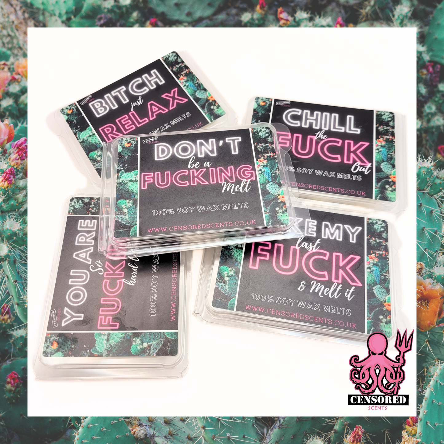 Take My Last Fuck and Melt It 100% Soy Wax Melts