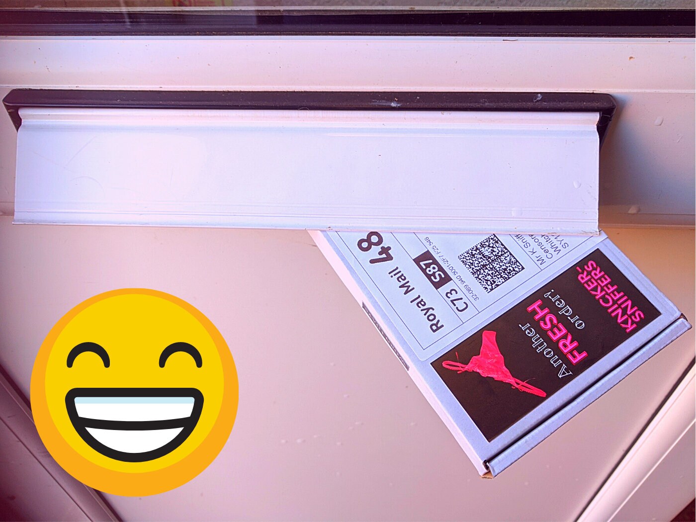 Prank Knicker Used Panty Sniffer Mail Box