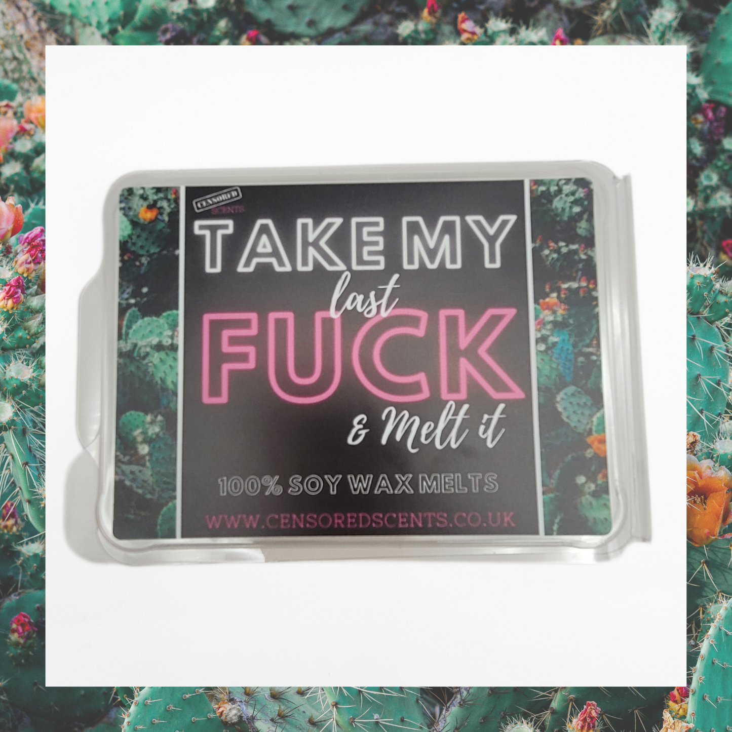 Take My Last Fuck and Melt It 100% Soy Wax Melts